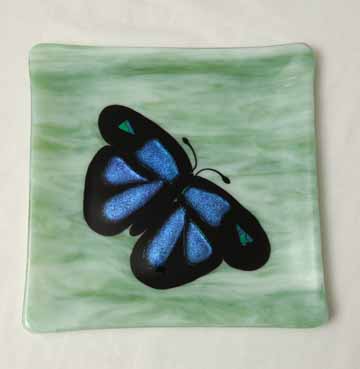 Blue Butterfly on Green plate