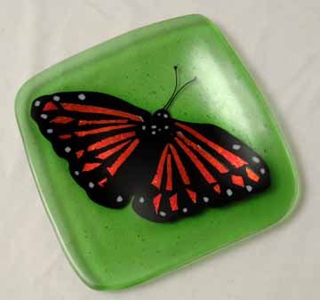 Monarch Butterfly on green plate