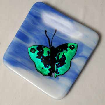 Teal Butterfly on blue plate