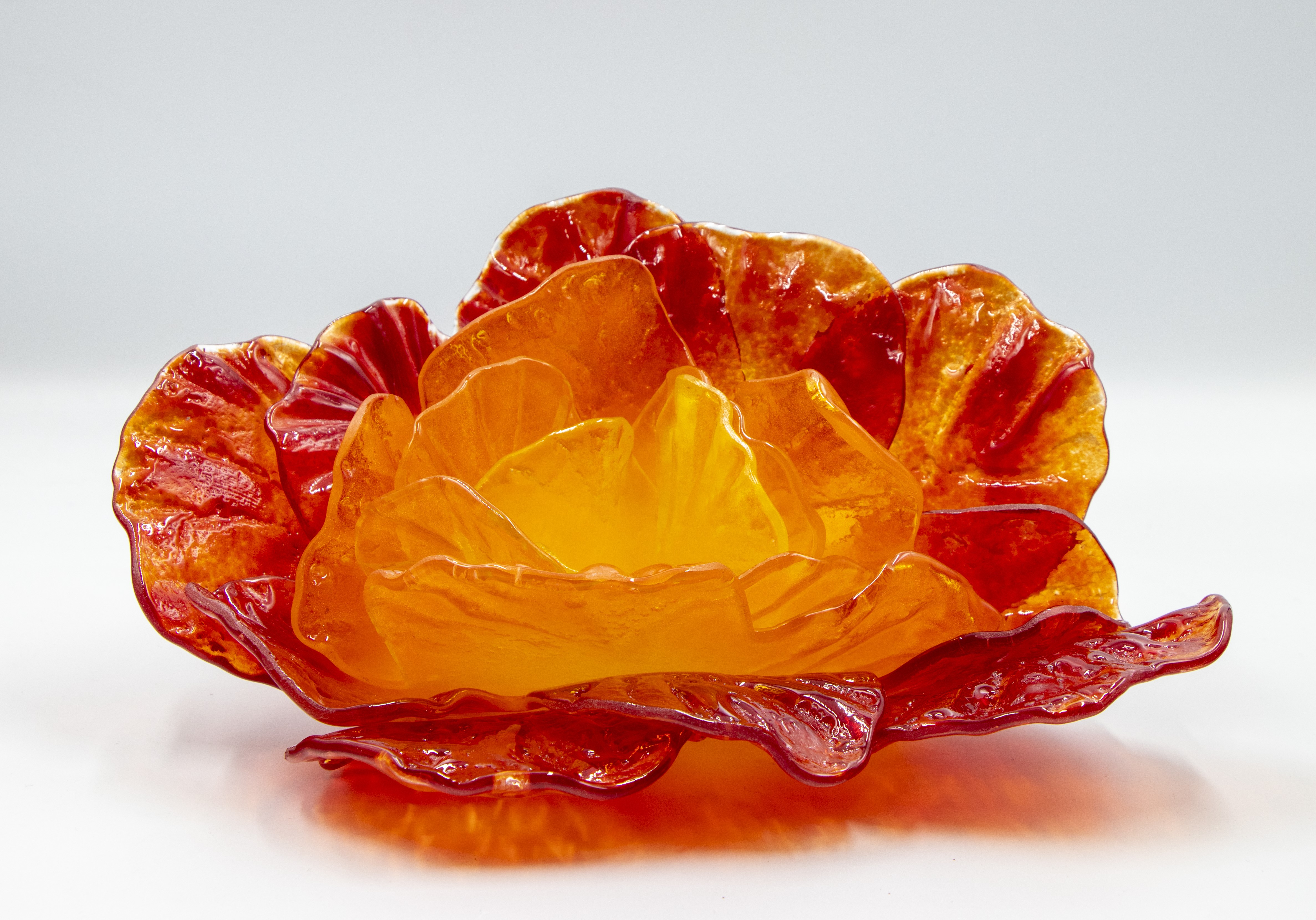 Red Orange Yellow Rose