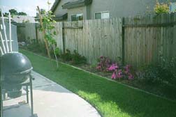 Sandy's side yard with azaleas